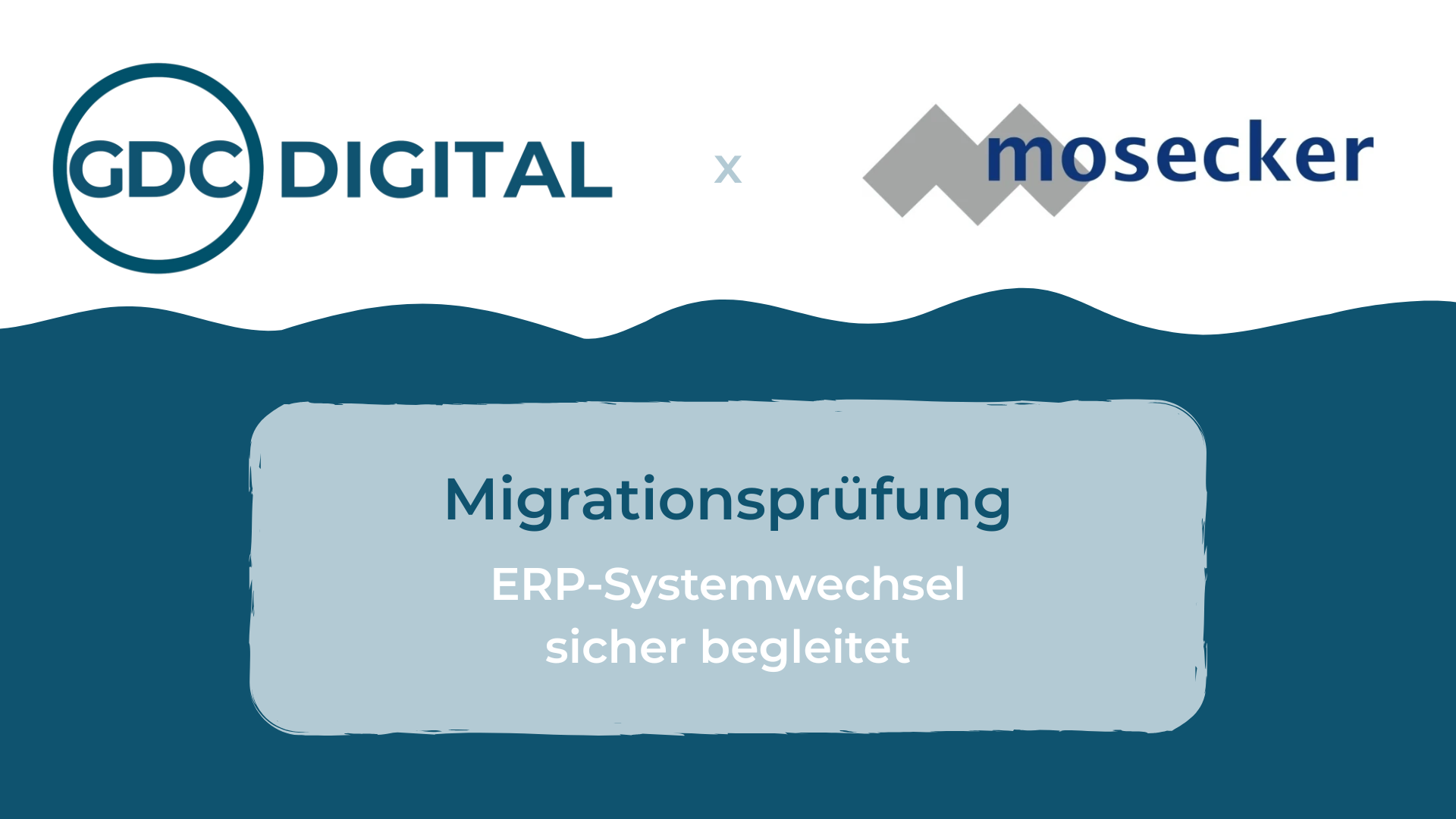 Header Bild Case Study Mosecker ERP Migrationsprüfung